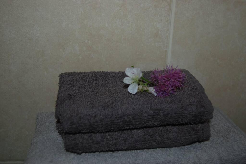 Creag Mhor Self Catering Holiday Apartment Aberfoyle  Luaran gambar